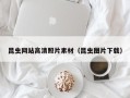 偃师昆虫网站高清照片素材（昆虫图片下载）